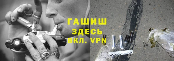 ешки Новодвинск