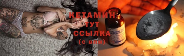 ешки Новодвинск