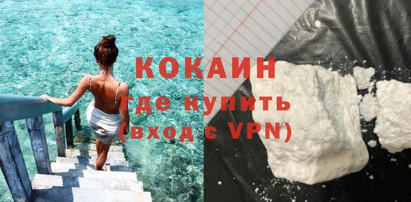 молекула духа Новозыбков