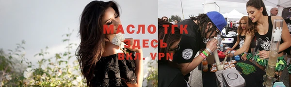 молекула духа Новозыбков