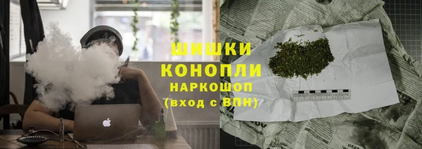 молекула духа Новозыбков