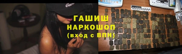 молекула духа Новозыбков