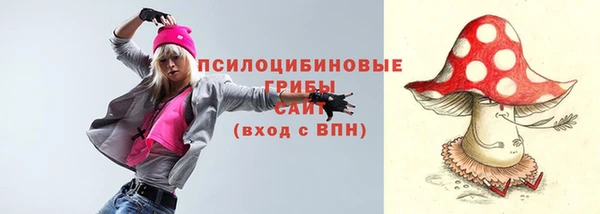 ешки Новодвинск