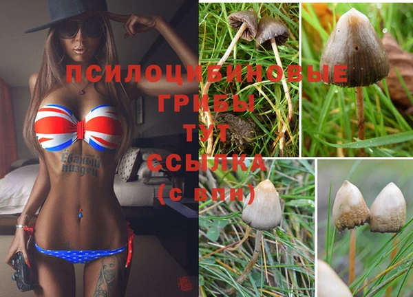 а пвп мука Новокубанск
