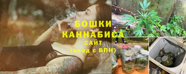 молекула духа Новозыбков