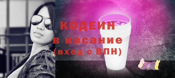 молекула духа Новозыбков