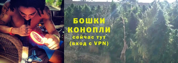 молекула духа Новозыбков