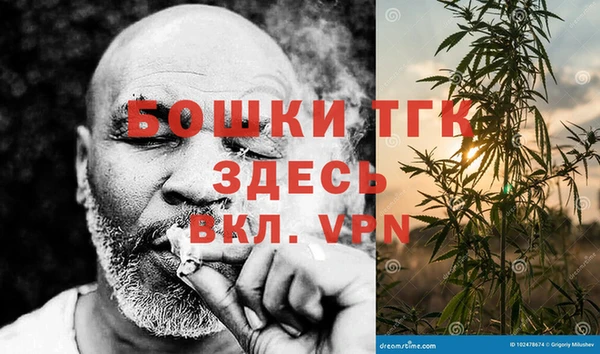 молекула духа Новозыбков
