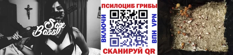 Псилоцибиновые грибы MAGIC MUSHROOMS  Шарья 